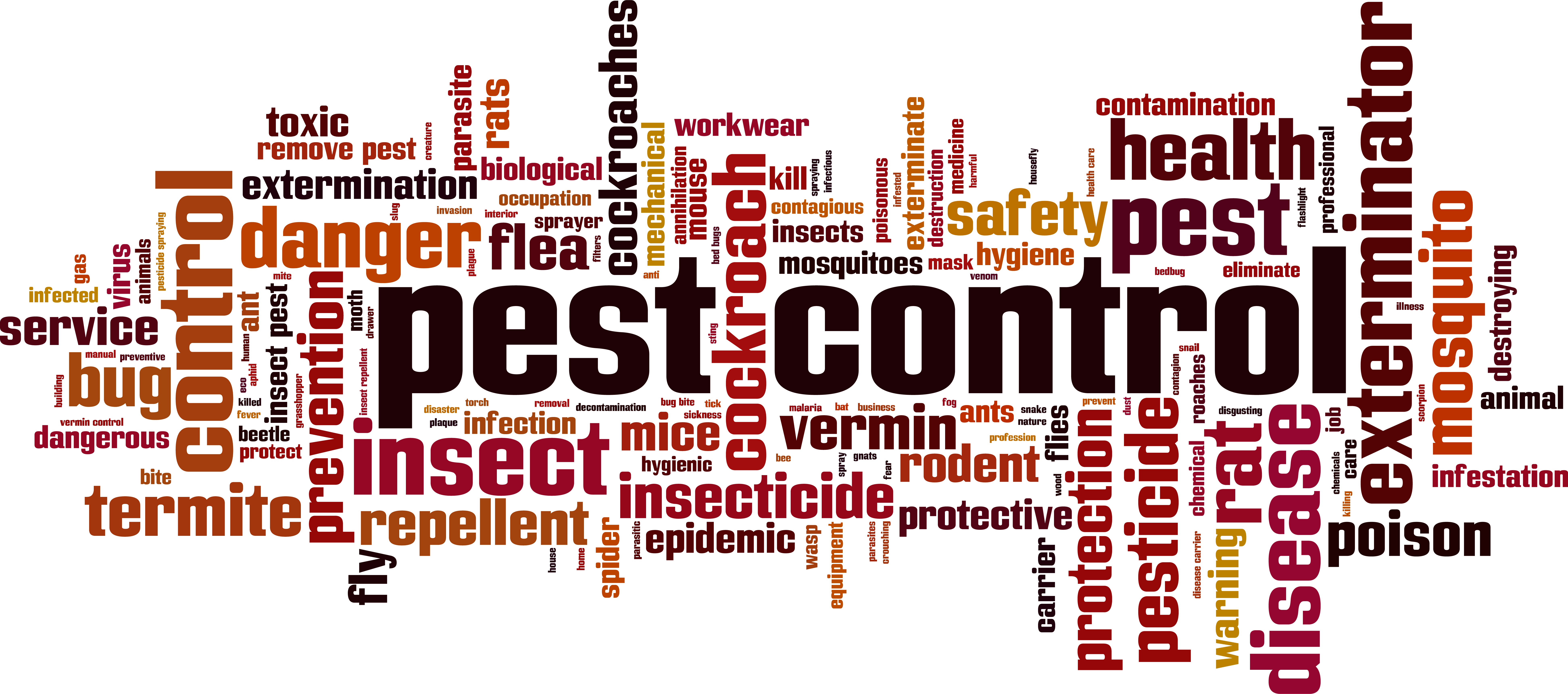 Pest Control Blogs