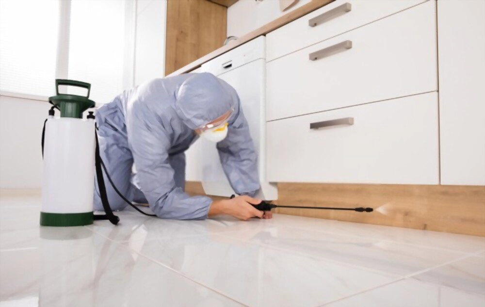 pest extermination langley bc